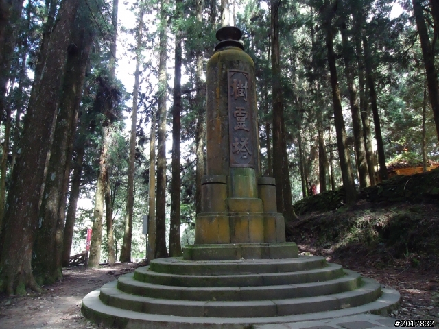 10/23-10/24阿里山之戀(龍銀山步道-祝山日出-對高岳步道)