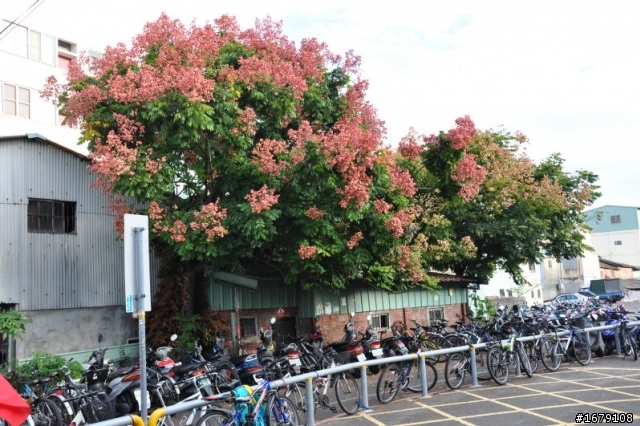 慶祝開國百年國慶, 雙人環鐵路山海線走訪火車站之旅--(第三天: 竹南-->高鐵烏日站    補在第四樓）