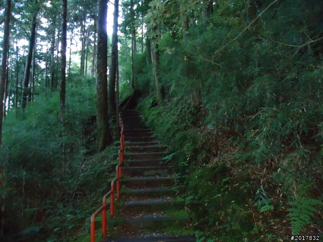 10/23-10/24阿里山之戀(龍銀山步道-祝山日出-對高岳步道)