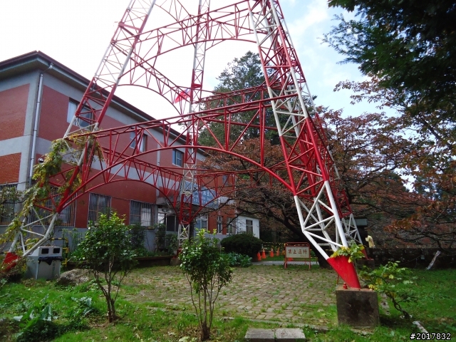 10/23-10/24阿里山之戀(龍銀山步道-祝山日出-對高岳步道)