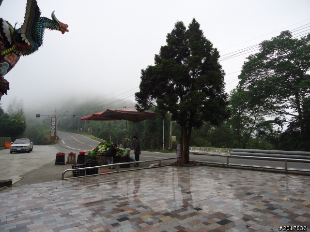 10/23-10/24阿里山之戀(龍銀山步道-祝山日出-對高岳步道)