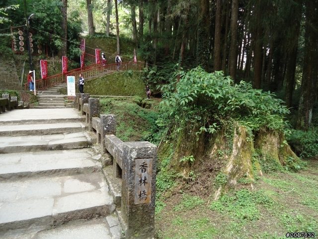 10/23-10/24阿里山之戀(龍銀山步道-祝山日出-對高岳步道)