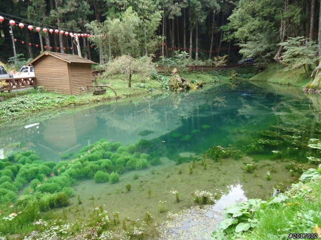 10/23-10/24阿里山之戀(龍銀山步道-祝山日出-對高岳步道)