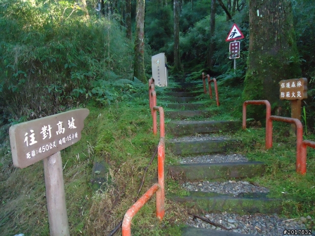 10/23-10/24阿里山之戀(龍銀山步道-祝山日出-對高岳步道)