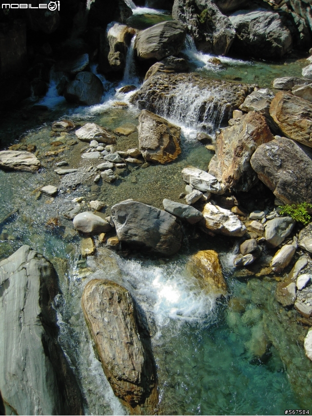 2011.10 花蓮四日遊 : 松園別館 & 太魯閣 & 慕谷慕魚 & 立川漁場 & 雲山水 & 豐田村 & 慶修院