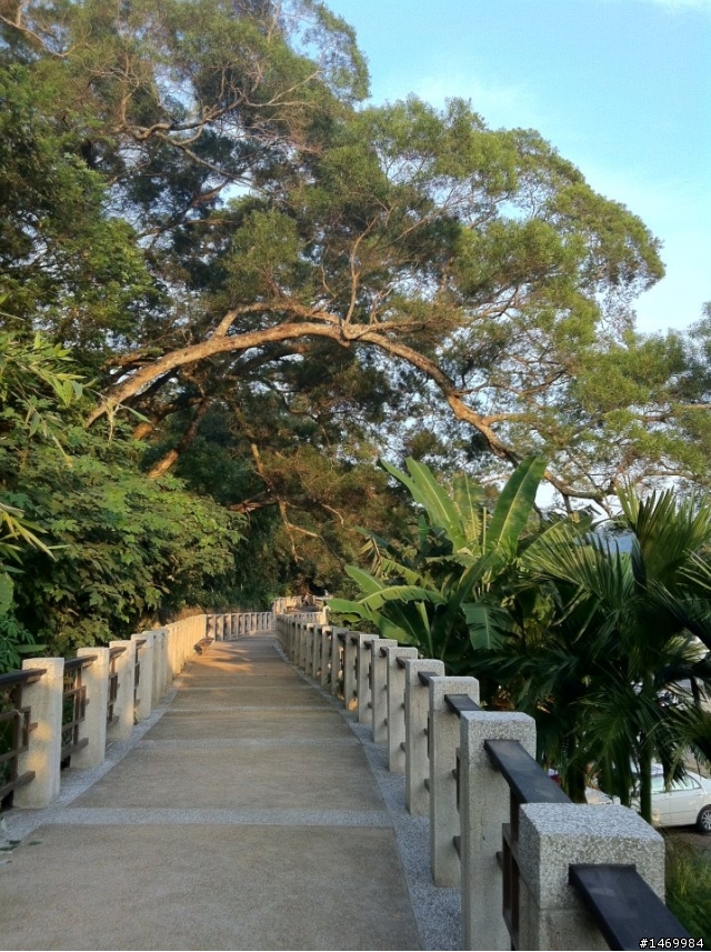 頭寮生態步道
