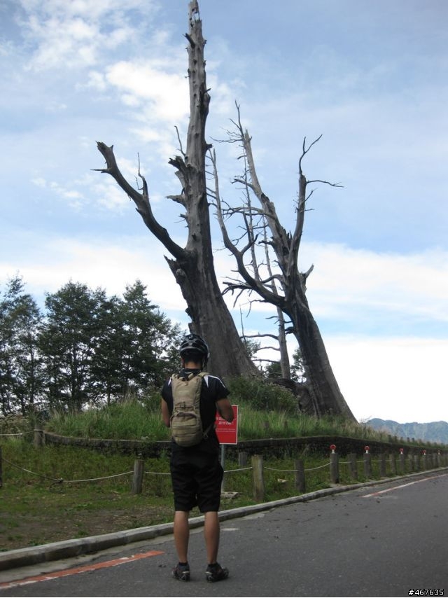 2011-10-01 塔塔加之旅