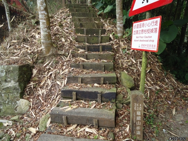 10/23-10/24阿里山之戀(龍銀山步道-祝山日出-對高岳步道)