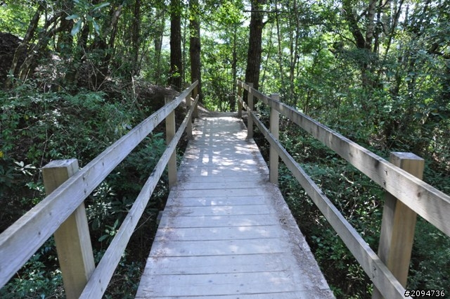 出發總要有個方向  走!我們到司馬庫斯去