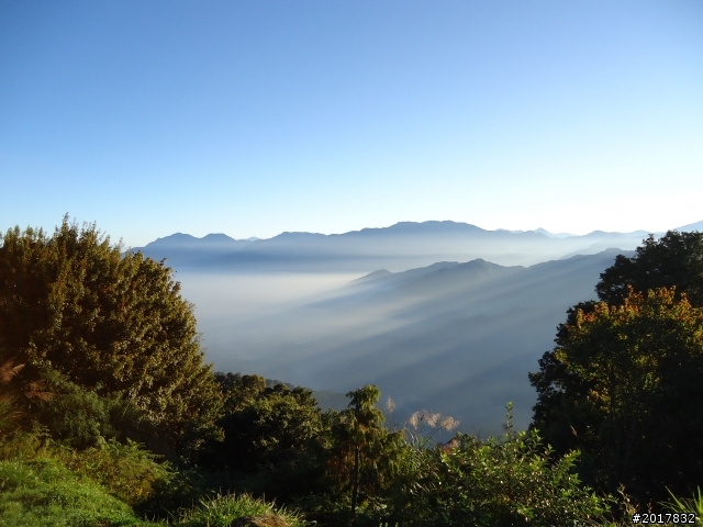 10/23-10/24阿里山之戀(龍銀山步道-祝山日出-對高岳步道)
