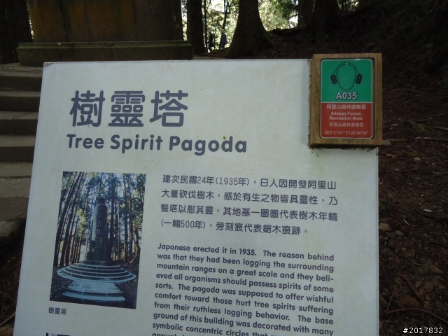 10/23-10/24阿里山之戀(龍銀山步道-祝山日出-對高岳步道)