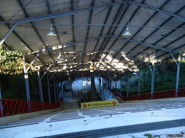 10/23-10/24阿里山之戀(龍銀山步道-祝山日出-對高岳步道)