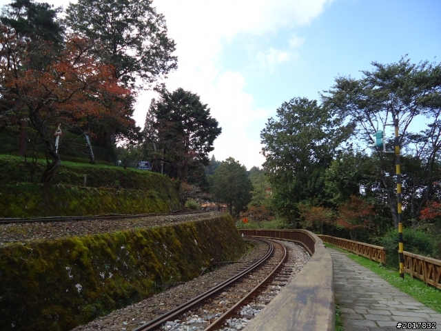 10/23-10/24阿里山之戀(龍銀山步道-祝山日出-對高岳步道)