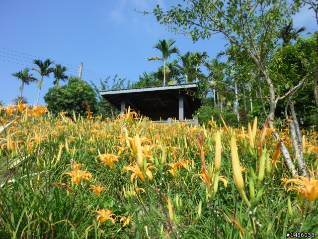 日昇之鄉，忘憂之旅