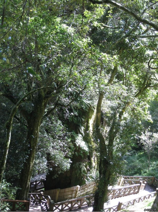 2011-10-01 塔塔加之旅