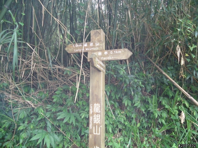 10/23-10/24阿里山之戀(龍銀山步道-祝山日出-對高岳步道)