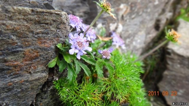 sony tx100v 的百岳初體驗