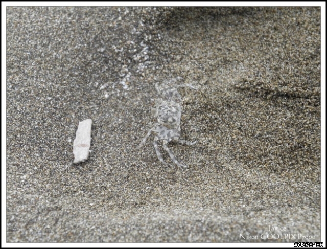 【來去吹吹風】之富貴角燈塔‧綠石槽海岸