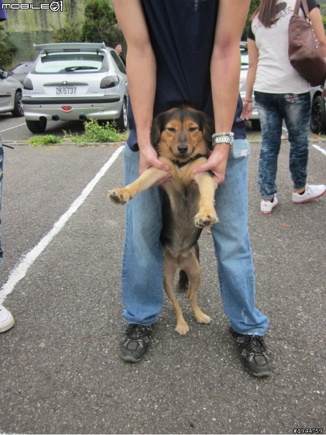 2011.10.16 獅寶寶百年全國大會師 (130張左右)