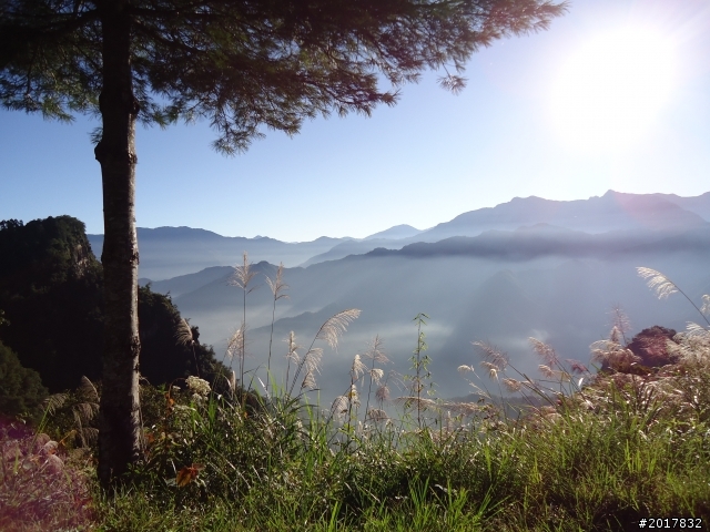10/23-10/24阿里山之戀(龍銀山步道-祝山日出-對高岳步道)