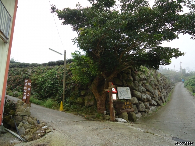 10/23-10/24阿里山之戀(龍銀山步道-祝山日出-對高岳步道)