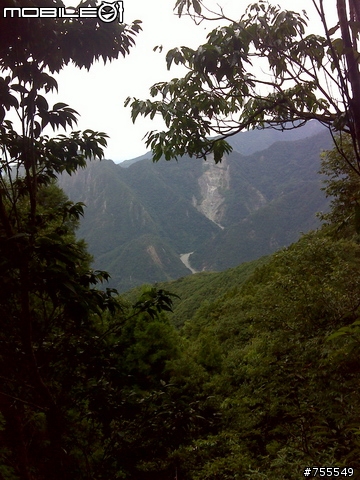 [分享]谷關七雄-八仙山