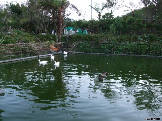 日昇之鄉，忘憂之旅