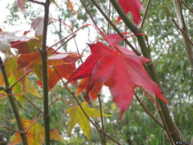 2011-10-01 塔塔加之旅
