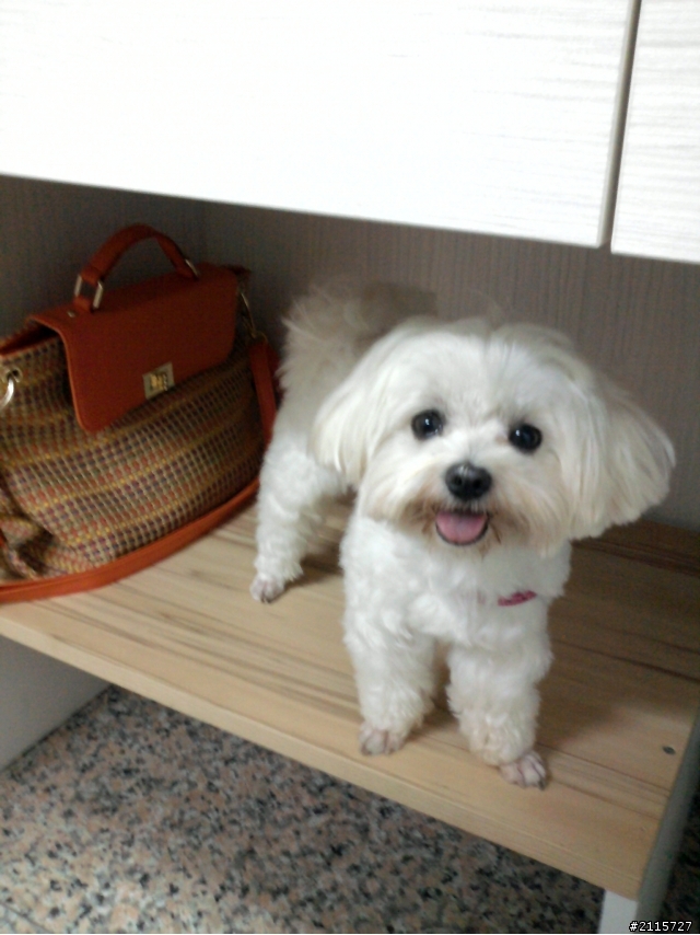 分享 : 主機架&桌下腳踏板