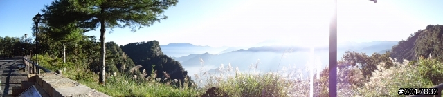 10/23-10/24阿里山之戀(龍銀山步道-祝山日出-對高岳步道)