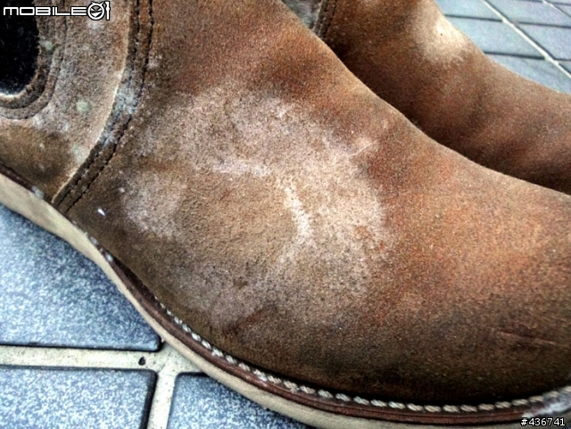 [恐怖慎入] 搶救 Redwing 發霉大作戰
