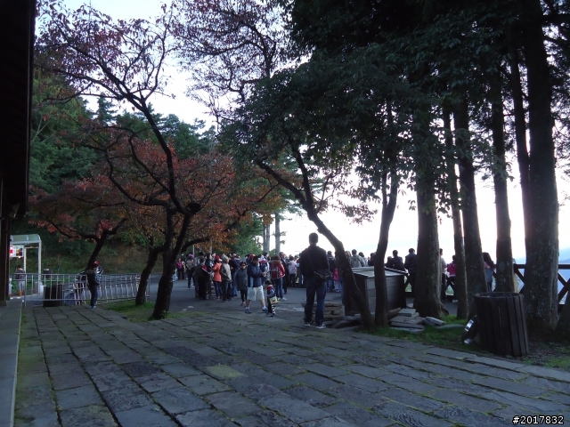 10/23-10/24阿里山之戀(龍銀山步道-祝山日出-對高岳步道)