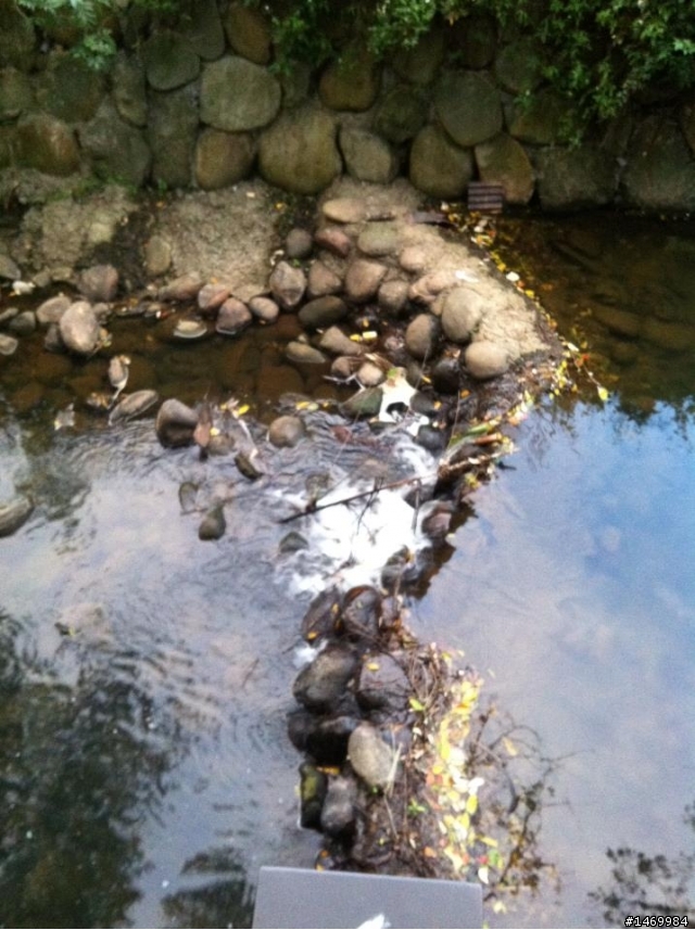 頭寮生態步道