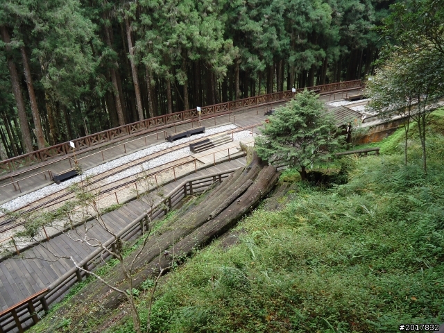 10/23-10/24阿里山之戀(龍銀山步道-祝山日出-對高岳步道)
