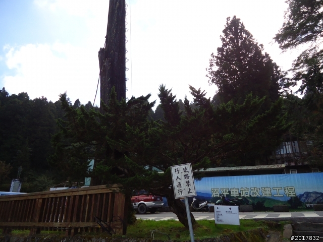 10/23-10/24阿里山之戀(龍銀山步道-祝山日出-對高岳步道)