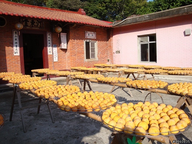 2011.10.29新埔柿子紅了~~曬成乾囉~~~