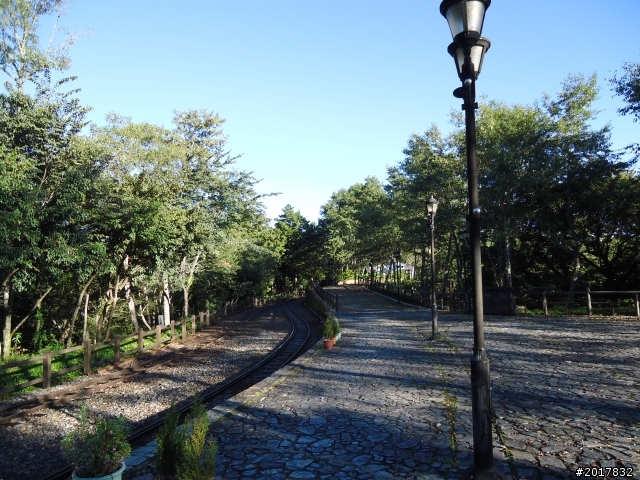 10/23-10/24阿里山之戀(龍銀山步道-祝山日出-對高岳步道)