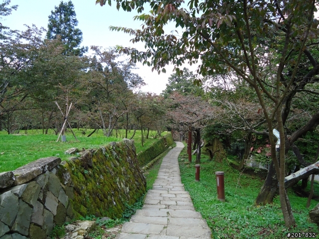 10/23-10/24阿里山之戀(龍銀山步道-祝山日出-對高岳步道)