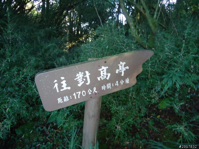 10/23-10/24阿里山之戀(龍銀山步道-祝山日出-對高岳步道)
