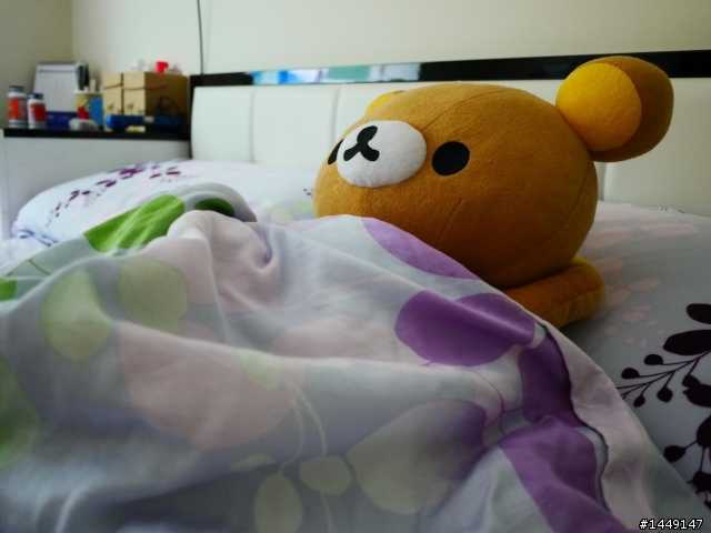 幫拉拉熊拍居家生活照..