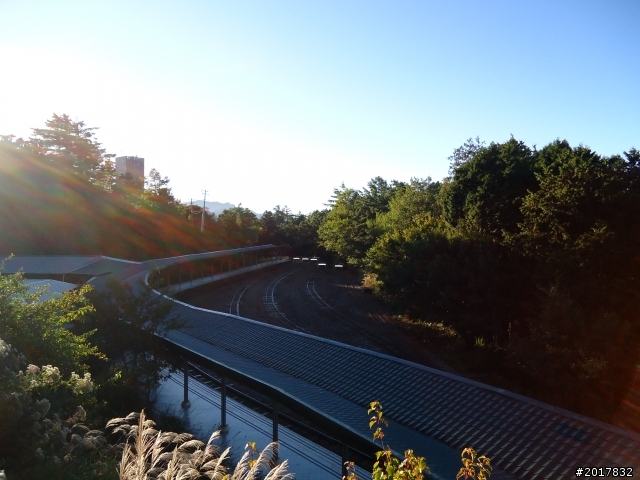 10/23-10/24阿里山之戀(龍銀山步道-祝山日出-對高岳步道)