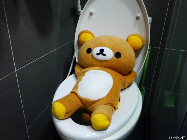 幫拉拉熊拍居家生活照..
