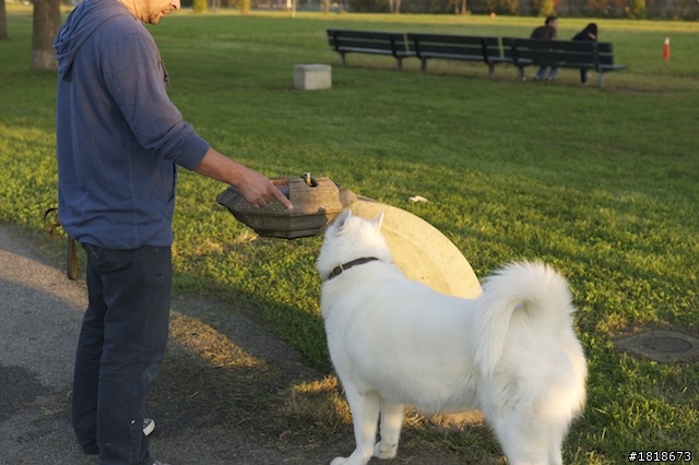 終於收到 Leica AG M9-P 跟 Leica Summicron-M 1:2/35mm ASPH. 開箱文