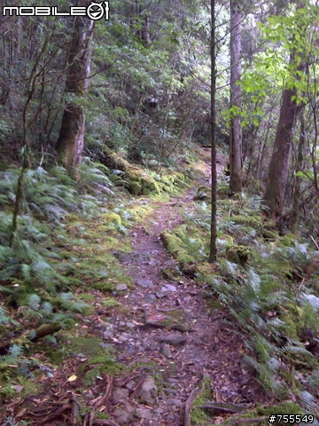 [分享]谷關七雄-八仙山