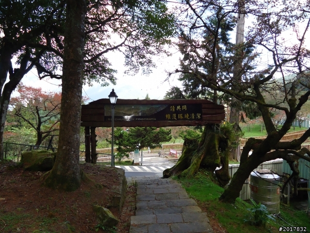 10/23-10/24阿里山之戀(龍銀山步道-祝山日出-對高岳步道)