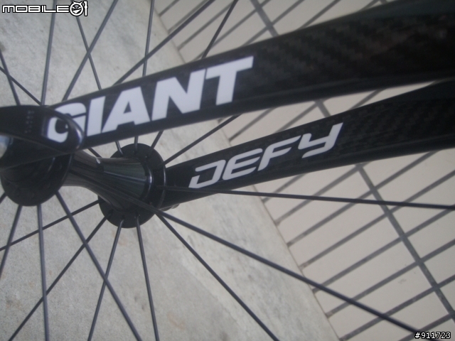 大尺寸俱樂部--我的 Giant Defy Advanced 3外銷版 L號