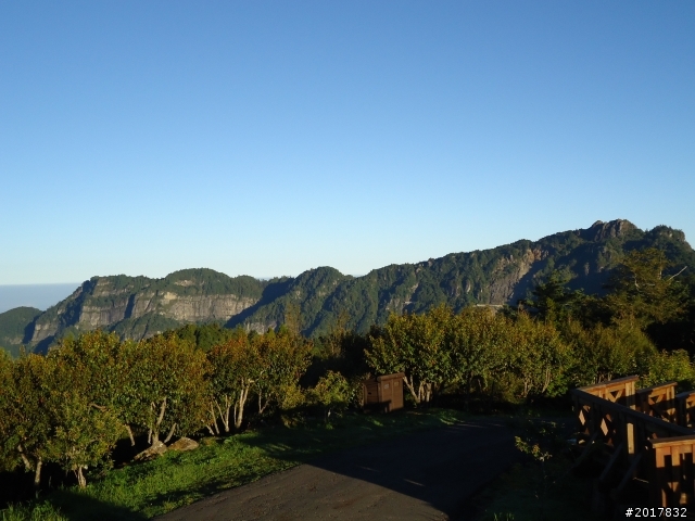 10/23-10/24阿里山之戀(龍銀山步道-祝山日出-對高岳步道)