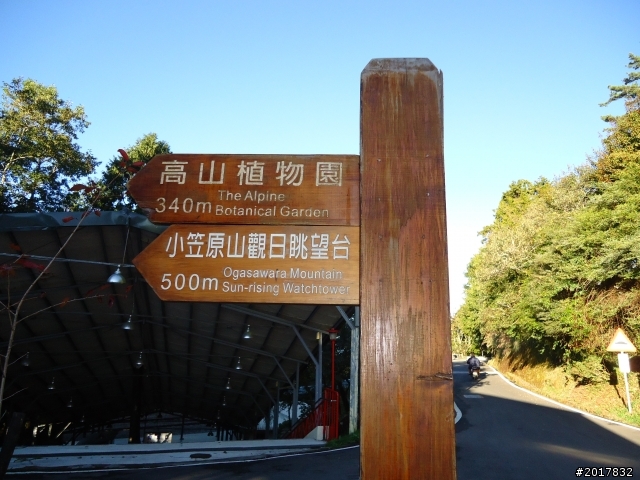 10/23-10/24阿里山之戀(龍銀山步道-祝山日出-對高岳步道)