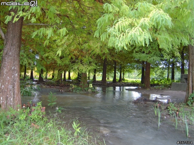 2011.10 花蓮四日遊 : 松園別館 & 太魯閣 & 慕谷慕魚 & 立川漁場 & 雲山水 & 豐田村 & 慶修院