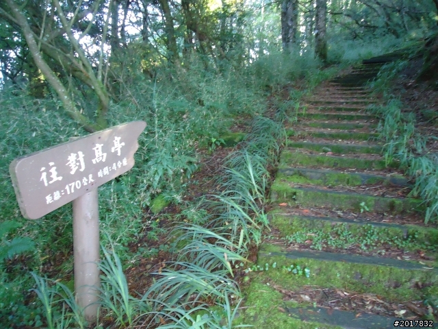 10/23-10/24阿里山之戀(龍銀山步道-祝山日出-對高岳步道)